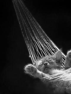 Other Wallpapers 0557